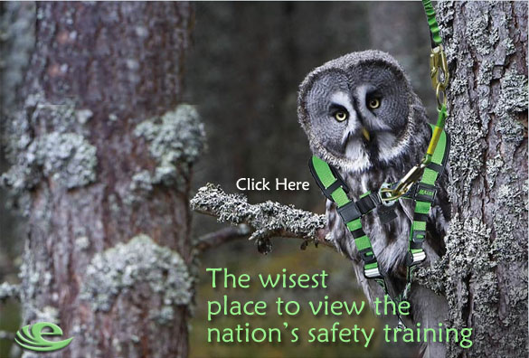 Tower Climber Safety Training